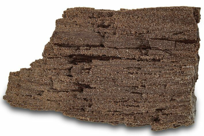 Permineralized Wood Covered In Sparkling Quartz - Germany #306972